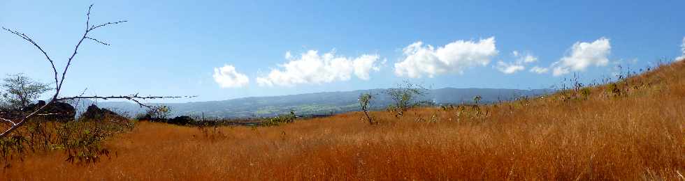 St-Paul - Savane vers Plateau Caillou