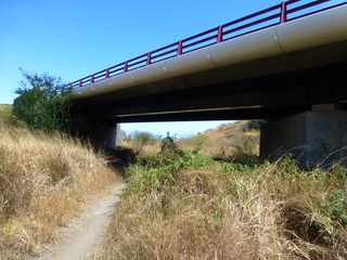 Sentier dans  le Petit Bras Canot  - St-Paul -