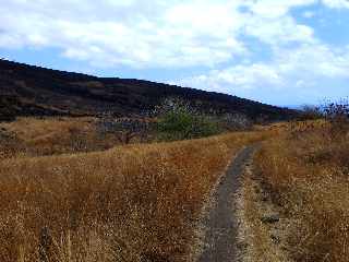 St-Paul - Cap la Houssaye - Incendies du 16 octobre 2012 - Ravine Patent Slip -