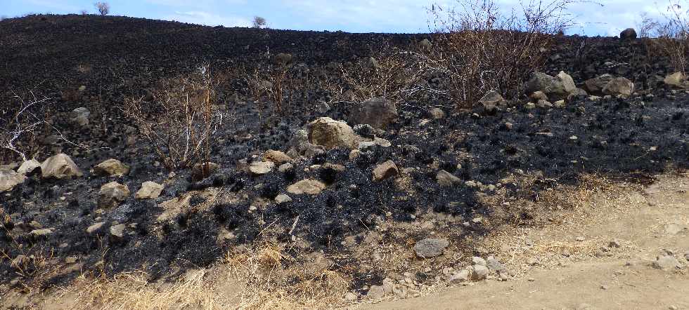 St-Paul - Cap la Houssaye - Incendies du 16 octobre 2012