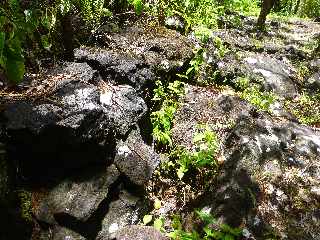 St-Philippe - Sentier longeant la fissure de mars 1986 -