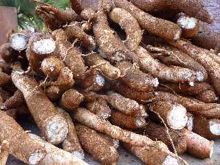 March forain de St-Pierre - Janvier 2013 - Manioc