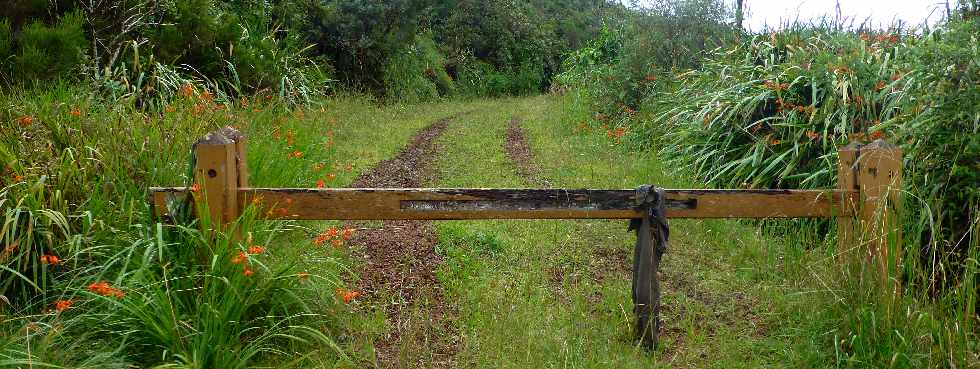 Plaine des Palmistes - Gros Piton Rond -
