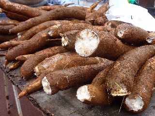 March forain de St-Pierre - Fvrier 2013 -  Manioc doux