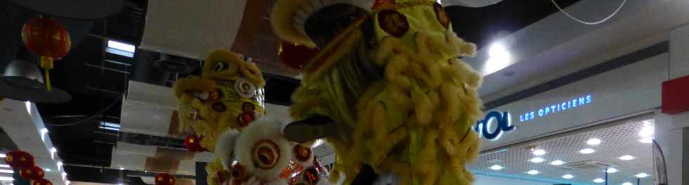 Association Hong De - Danse du lion - 9 fvrier 2013 - Anne du Serpent - Hyper U St-Pierre -