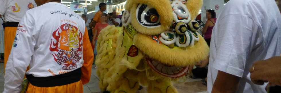 Association Hong De - Danse du lion - 9 fvrier 2013 - Anne du Serpent - Hyper U St-Pierre -