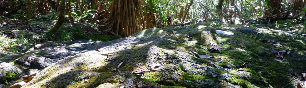 Sentier littoral de St-Philippe - Traverse de ravine