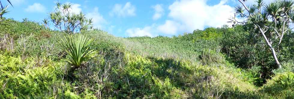 Sentier littoral de St-Philippe -