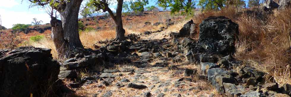 St-Paul - Chemin pav du Bernica -