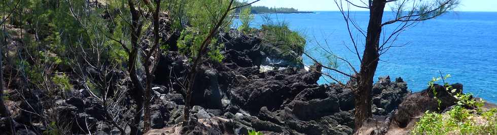 Dcembre 2013 - Ste-Rose - Sentier littoral - Pointe des Cascades -