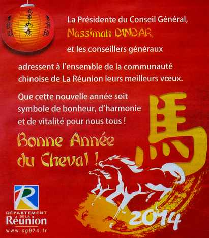 31 janvier 2014 - Anne du cheval de bois - Pub Conseil gnral