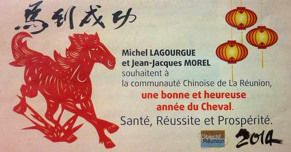 31 janvier 2014 - Anne du cheval de bois - Pub candidats