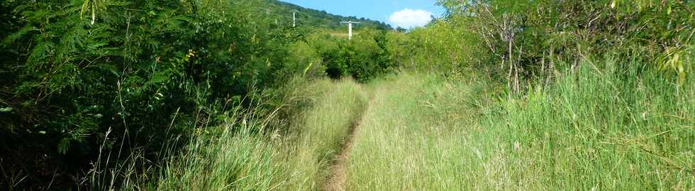 Avril 2014 - St-Paul - Tour des Roches - Chemin Macabit -