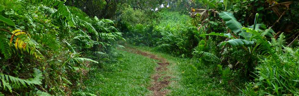 Juillet 2014 - Ste-Rose - Sentier littoral -