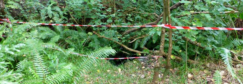 Aot 2014 - Piton Ste-Rose - Sentier littoral - Puits