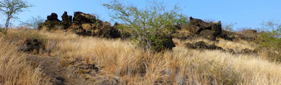 17 octobre 2014 - Saint-Leu - Piton des Roches Tendres -