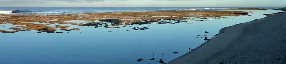 6 juin 2015 - St-Pierre - Mare base dans le lagon