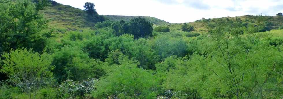 19 juin 2015 - St-Paul - Ravine Boucan Canot