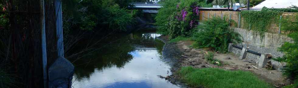 19 juin 2015 - St-Paul - Ravine de Boucan Canot -