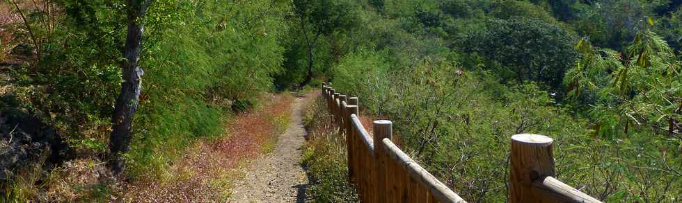 Septembre 2015 - St-Gilles les Bains - Sentier touristique du Verger Bottard -