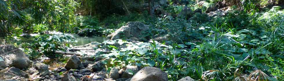 Septembre 2015 - St-Gilles les Bains - Sentier du Verger Bottard -  Ravine St-Gilles