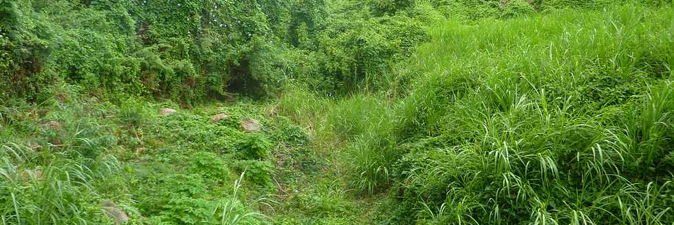 20 avril 2016 - Le Tampon - Parcours de sant de Bel-Air