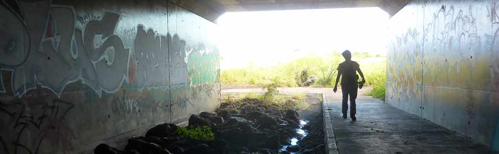 22 avril 2016 - St-Leu - Stella - Espaces amnags - Passage sous la route des Tamarins
