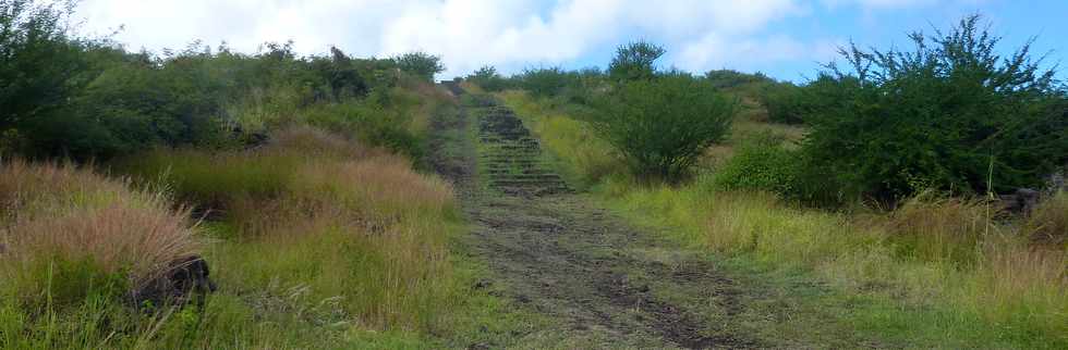 22 avril 2016 - St-Leu - Piton des Roches Tendres - Chemin des curiosits