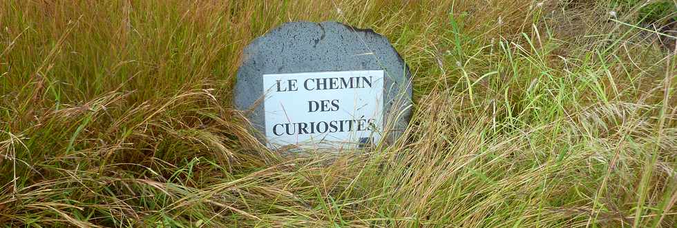 22 avril 2016 - St-Leu - Piton des Roches Tendres - Chemin des curiosits