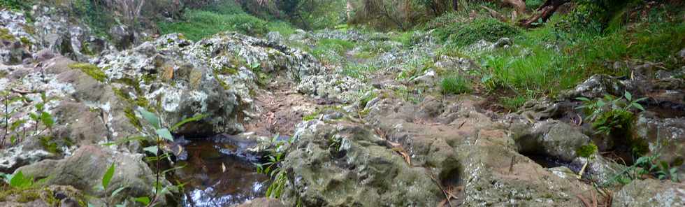 25 avril 2016 - Le Tampon - Fort du Piton de la Ravine Blanche - Association Tamar'haut - Sentiers pdestres -