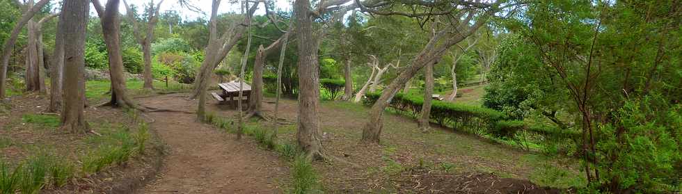 25 avril 2016 - Le Tampon - Fort du Piton de la Ravine Blanche - Association Tamar'haut - Sentiers pdestres -