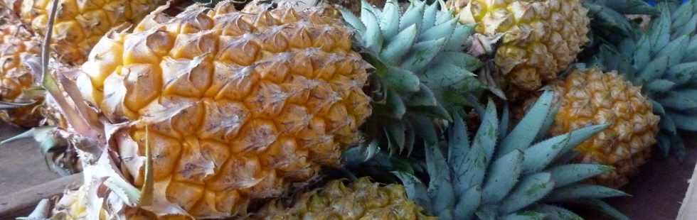 7 mai 2016 - St-Pierre - March forain - Ananas