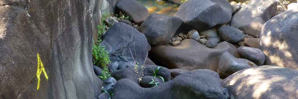 30 septembre 2016 - St-Pierre - Bassin Plat - Rivire d'Abord -