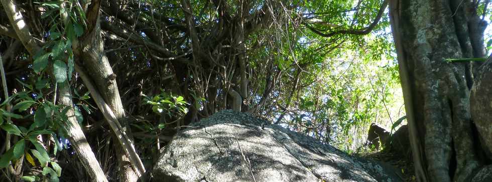 30 septembre 2016 - St-Pierre - Bassin Plat - Rivire d'Abord -