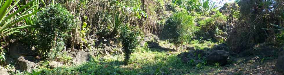 30 septembre 2016 - St-Pierre - Association Hibiscus - Entretien site de la ravine Balance