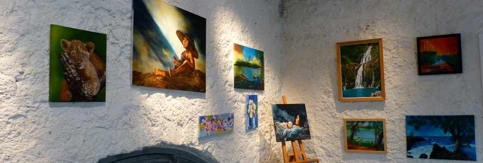 30 novembre 2016 - St-Louis - Moulin  mas - Expo peinture - Christophe Jonas et ses lves
