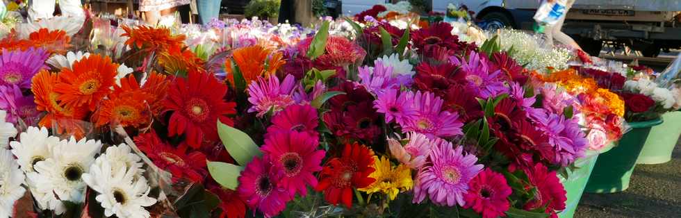 14 janvier 2017 - St-Pierre - March forain - Fleurs coupes