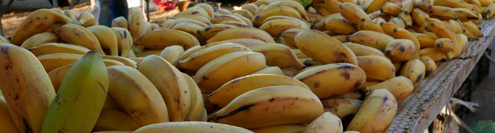 14 janvier 2017 - St-Pierre - March forain - Bananes