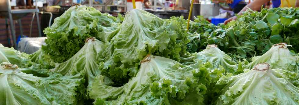 14 janvier 2017 - St-Pierre - March forain - Salades de Mare  Martin