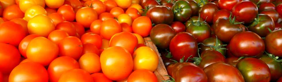 14 janvier 2017 - St-Pierre - March forain - Tomates