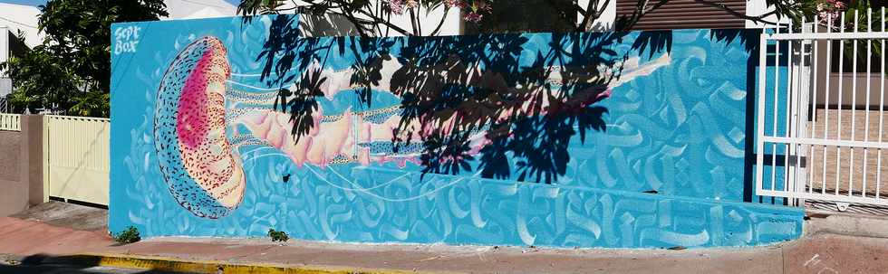 5 mars 2015 - St-Pierre - Rue Victor Le Vigoureux - Fresque des artistes Sept et Box