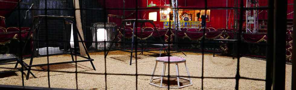 14 avril 2017 - St-Pierre - Cirque Achille Zavatta - Cage aux fauves