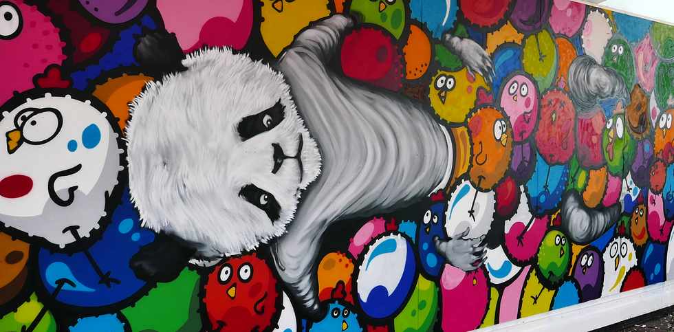 20 fvrier 2018 - St-Pierre - Place-Napolon Hoareau  - Hang'Art - SONA - CEET et Abeil