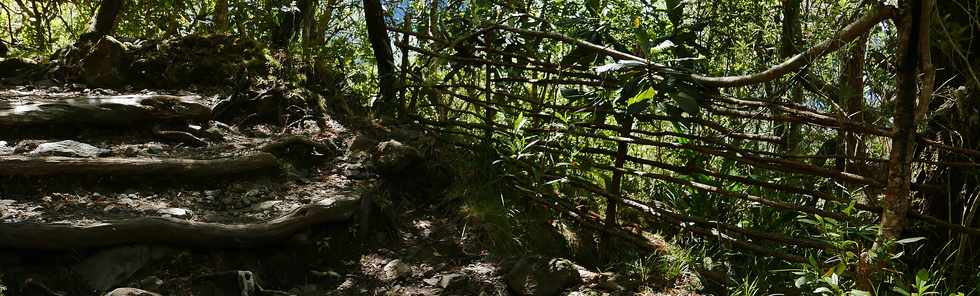 25 octobre 2018 - Cilaos - Sentier vers le col du Tabit -