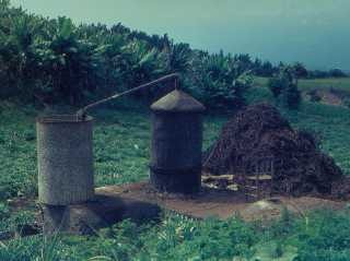 Alambic  granium sur la route du Mado