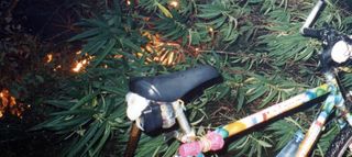 A v�lo � la coul�e 2005