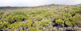 Sentier du Morne Langevin