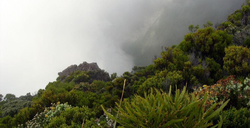 Morne Langevin