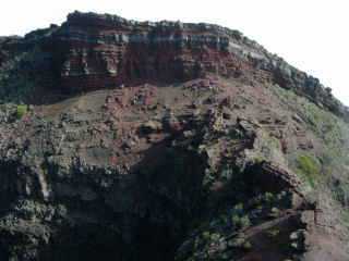 Commerson