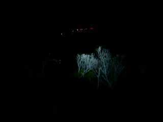 Branles blancs
